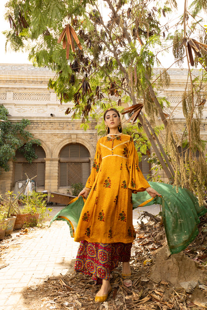 RANI SHIRT, TROUSERS IN SILK AND DUPATTA IN COTTON NET