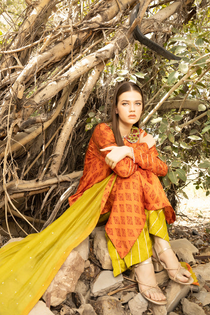 NAYAB SHIRT, TROUSERS IN SILK AND DUPATTA IN COTTON NET